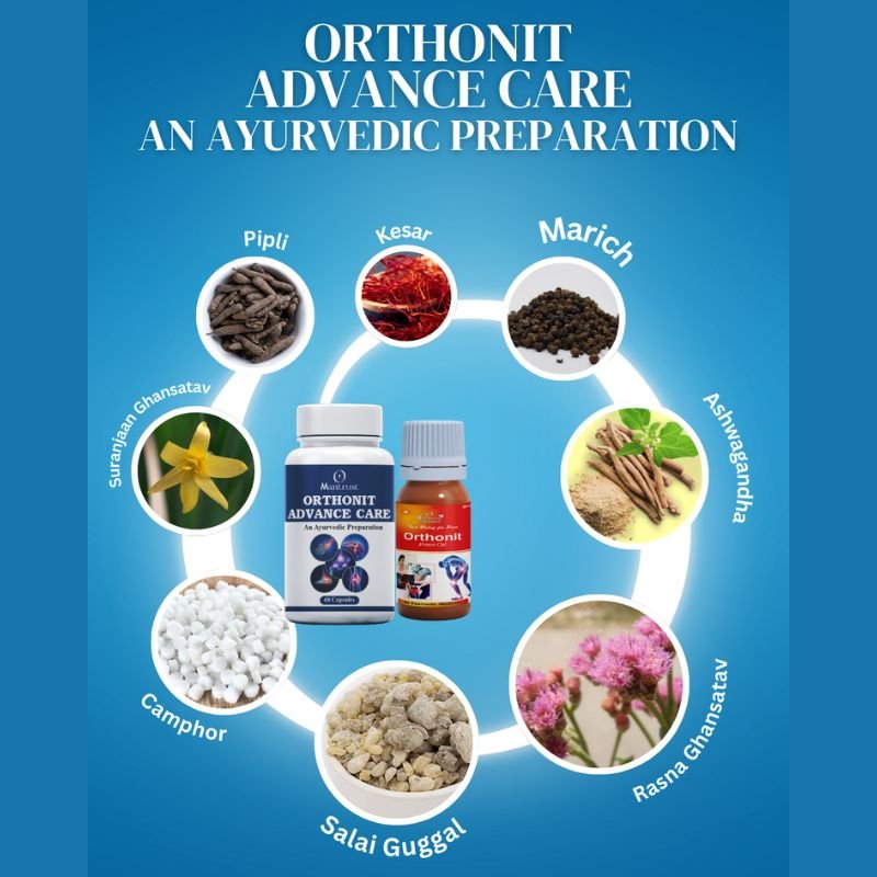 Orthonit Oil